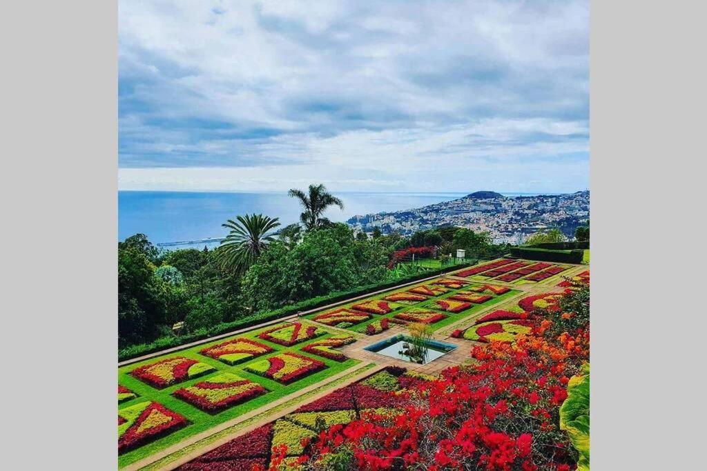 Funchal Center Apartment II Bagian luar foto